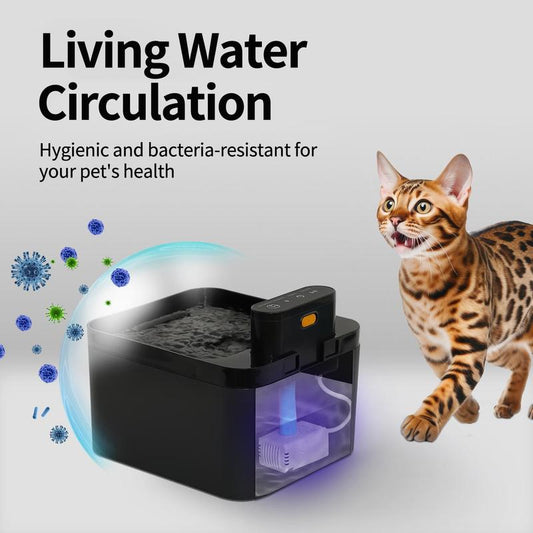 Smart kattvattendispenser🐱💧, med rörelsesensor🚀👀