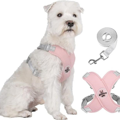 X-ram inget dragande hundsele med koppelset