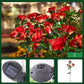 🌹🌞 50% RABATT! Rosformad Solcellslampa för Trädgård
