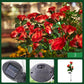 🌹🌞 50% RABATT! Rosformad Solcellslampa för Trädgård