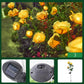 🌹🌞 50% RABATT! Rosformad Solcellslampa för Trädgård